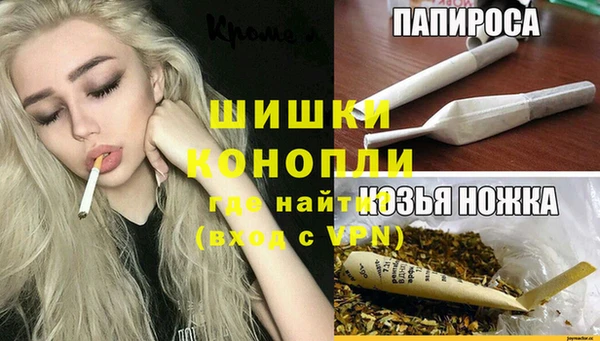 соль ск Белокуриха