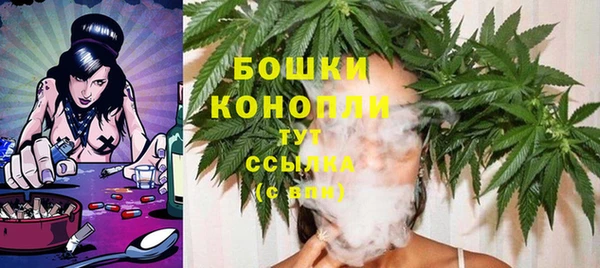 соль ск Белокуриха