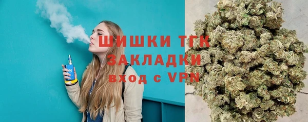 соль ск Белокуриха