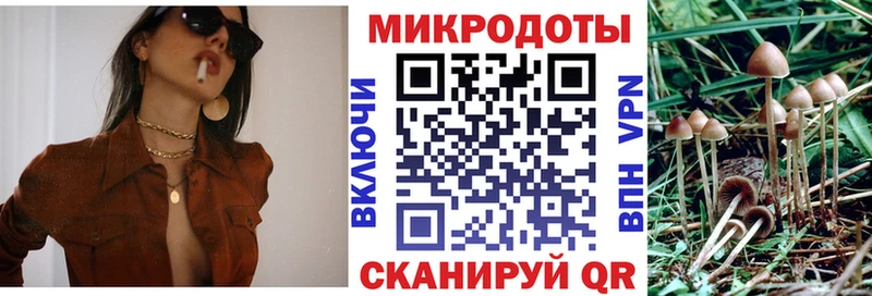 Галлюциногенные грибы Cubensis  цена   Красавино 